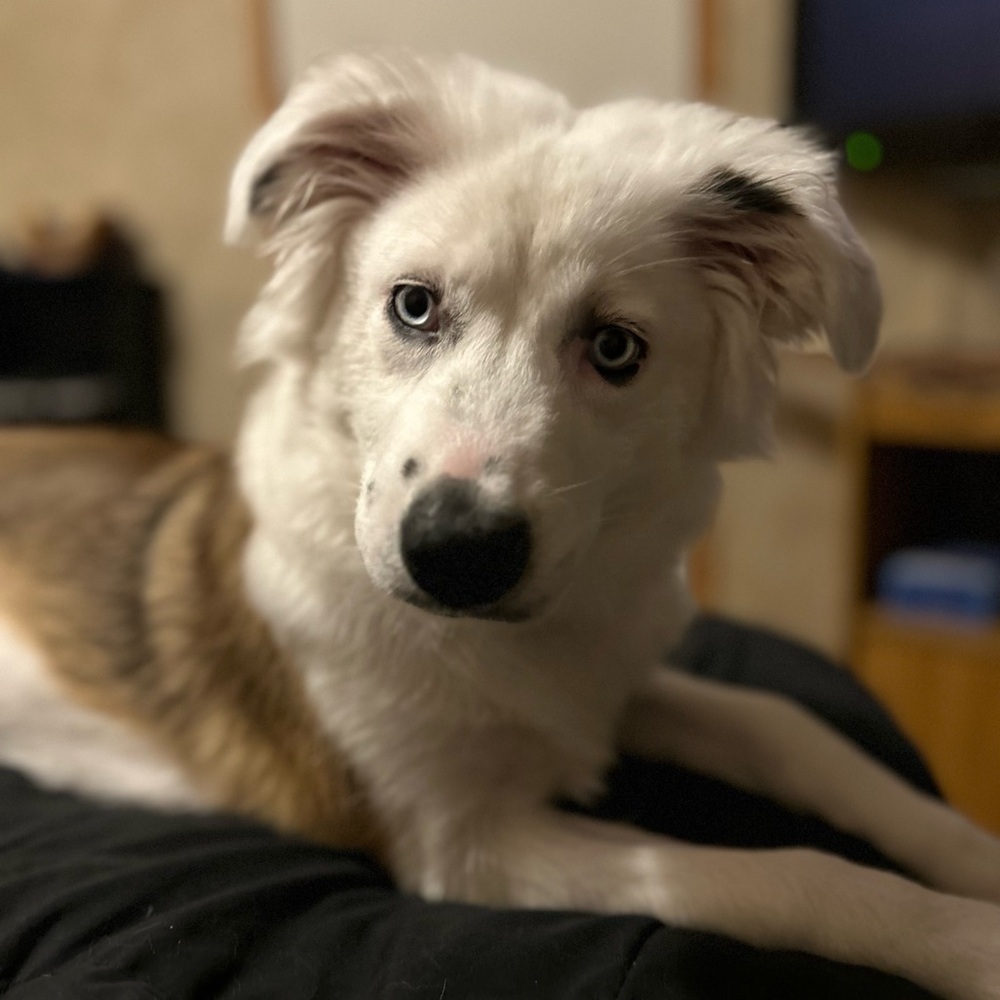 ✨Victoriacole988 is LIVE✨ - Picture 2 of 7